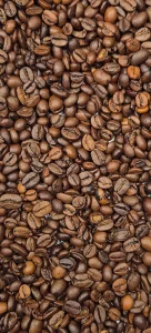 Coffee optical sorting accept