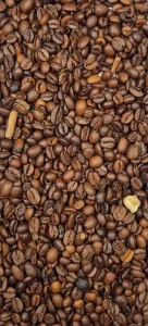 Coffee optical sorting input